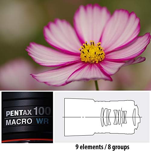 Макро обектив Pentax 100mm f/2.8 WR D FA сос за Цифрови огледално-рефлексни фотоапарати Pentax