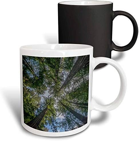 3дРоуз Калифорния, Държавен парк Хумболт Redwoods, Крайбрежните дървета Секвои - Чаши (mug_346383_5)
