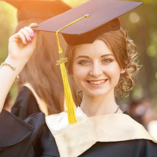 30 Бр Пискюл за връчване на дипломи 2023 г., Обемна Златен Пискюл за Връчване на дипломи с Чар на 2023 година, Четката