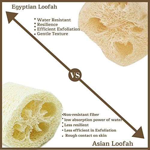 Един твърди египетски гъба от естествена гъба за СПА-салон за красота за тялото. Висококачествен лосион