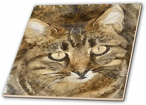 3D-Фигура хубав раиран котка, гледайки нагоре артистичен молив - теракот (ct_358054_7)